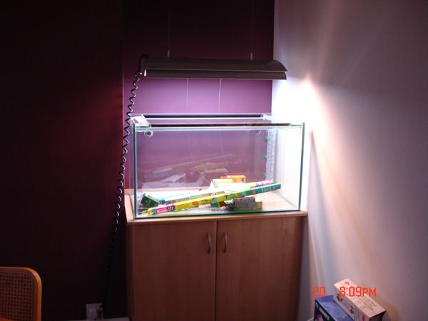 Fish_tank_equipment_025.jpg