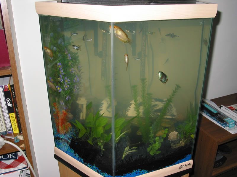 fishtank14.jpg