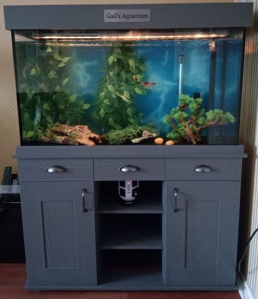 Fluval Shaker 252 {66.5 gallons} (2).jpg