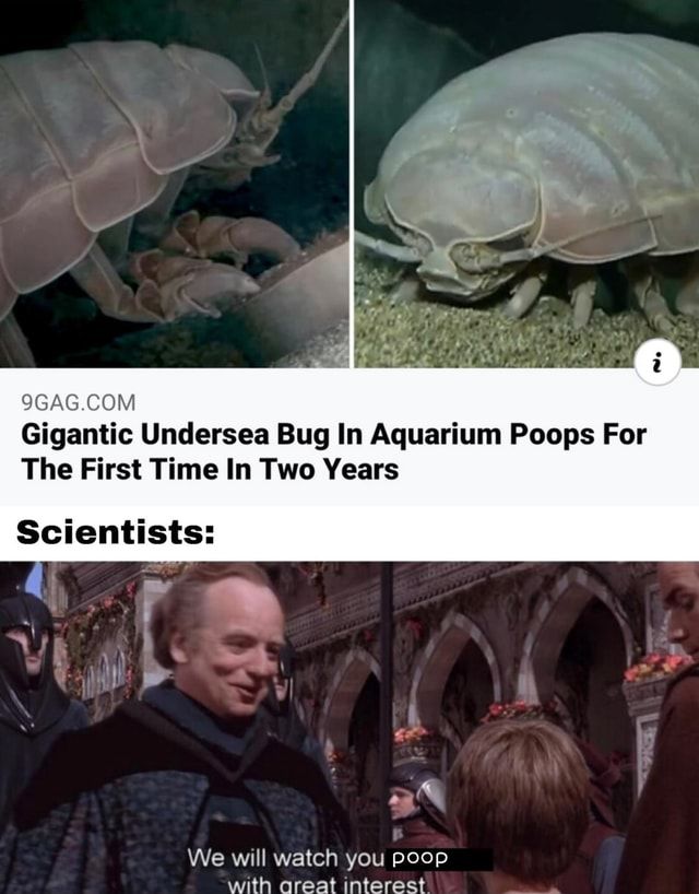 gigantic-undersea-aquarium-poops-scientists-oreat-interest-e788ff7528f4623a-c3021a1721b64189.jpg