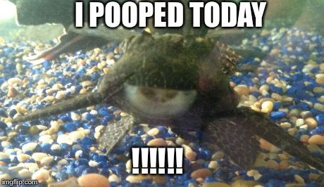 he pooped today!!!!!!.jpg