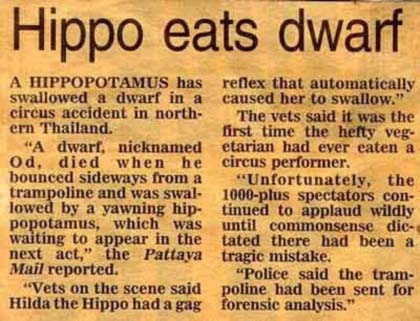 hippo.jpg