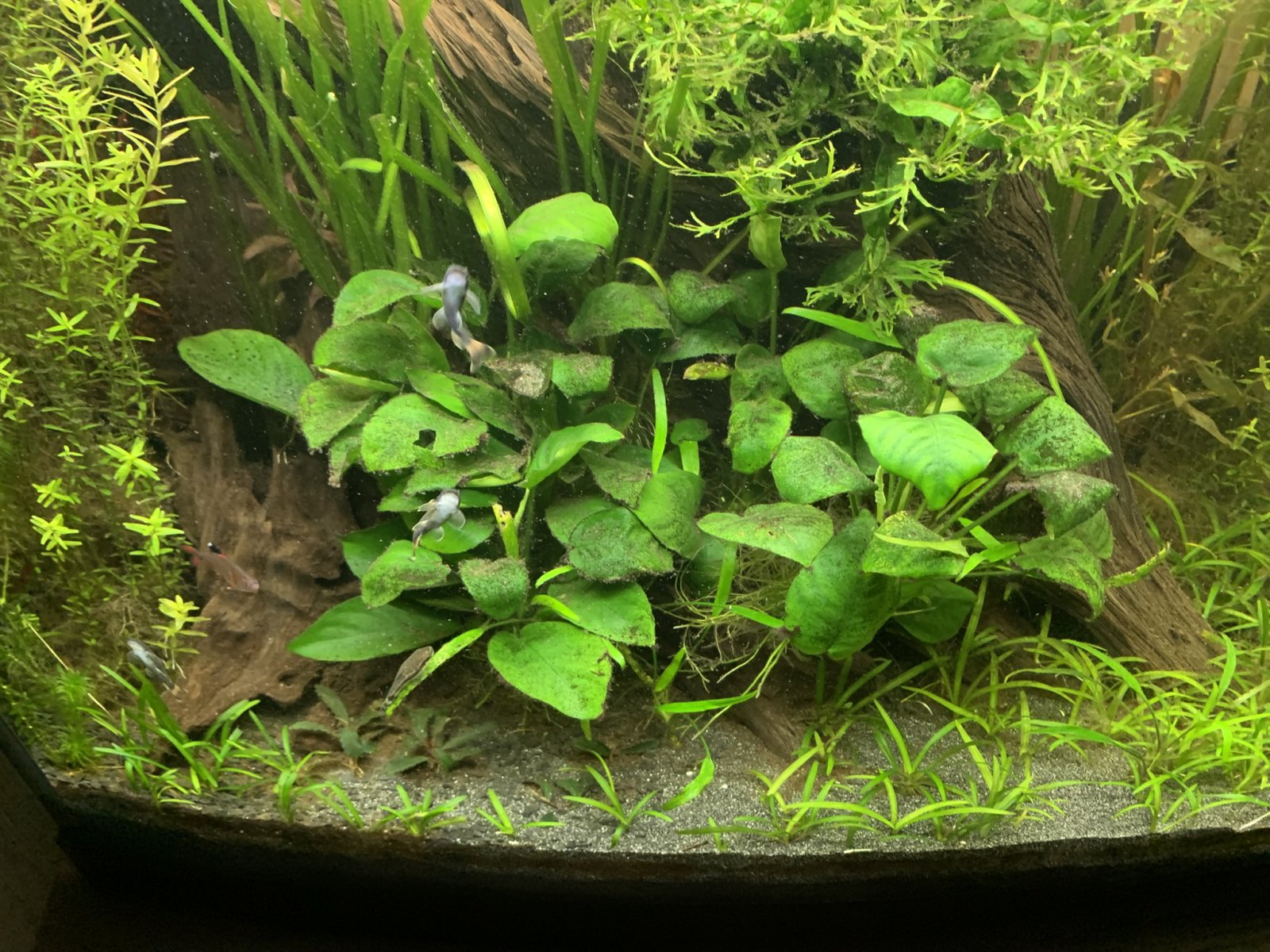 jo_akvarium_20241211.JPEG