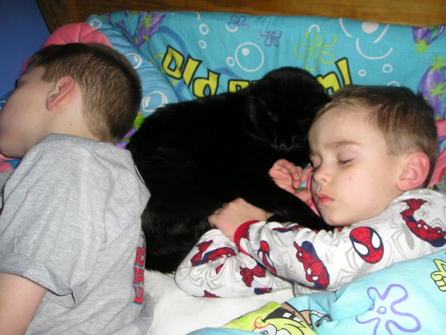 KIDS_AND_CATS_004.jpg