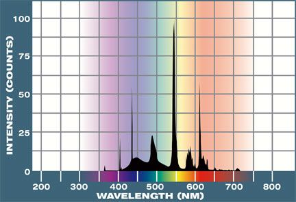 Life-Glo spectrum.jpg