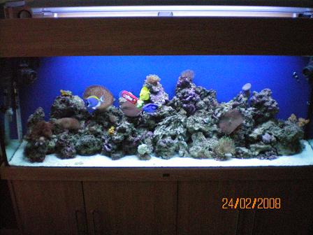 marine_tank_1_023.jpg