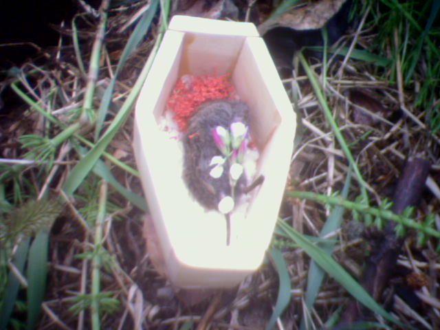 Near_grave_with_flowers.jpg