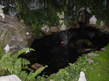 pond_pic.gif