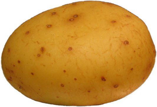 potato.jpg