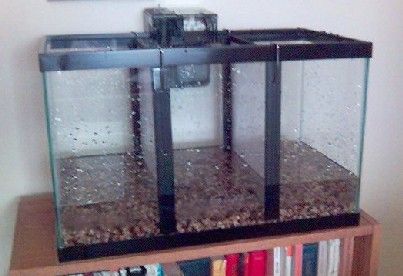 Preliminary_setup_10gallon.jpg