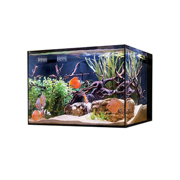 reef tank.jpg