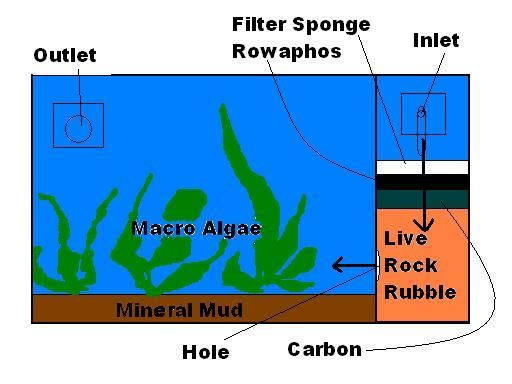 Refugium.JPG