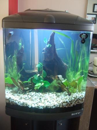 Tank pic (1).jpg