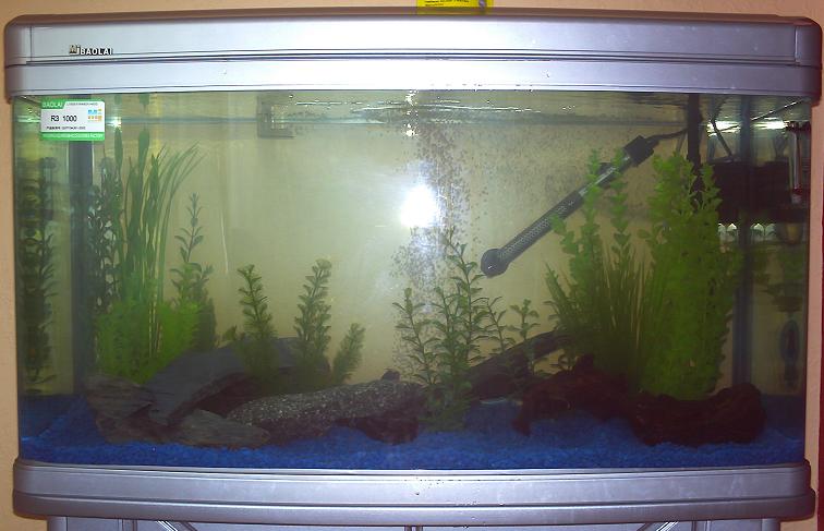 tank_pic_1.JPG