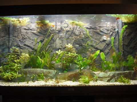 tankpic1.jpg