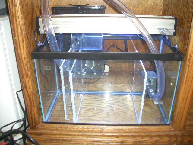 TankPic_Sump_5.jpg