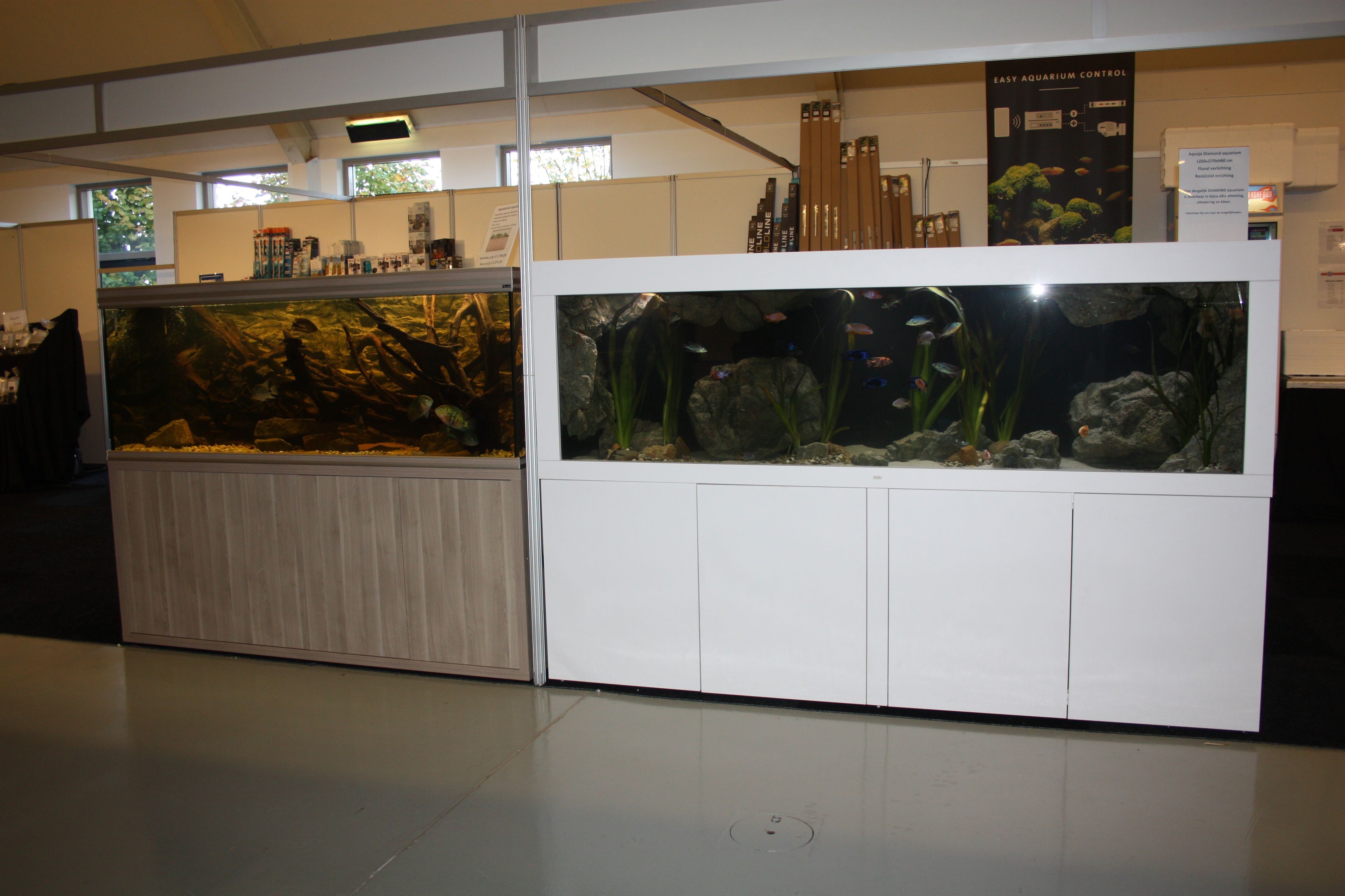 Vivarium 2019  November 3rd 2019 day 2 035.jpg