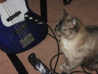 Web_phoebe_and_guitar1.jpg