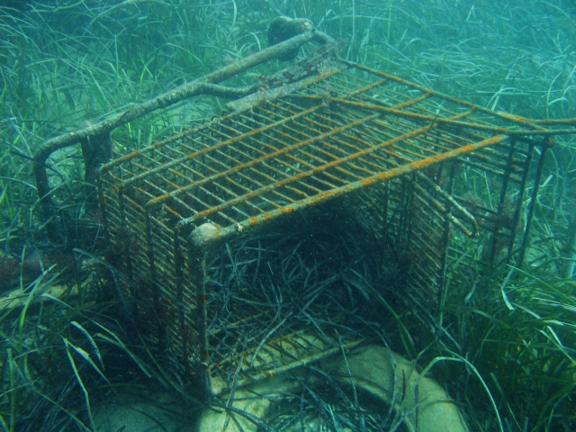 Shopping_Trolley_Esperance_Tanker_Jetty.jpg