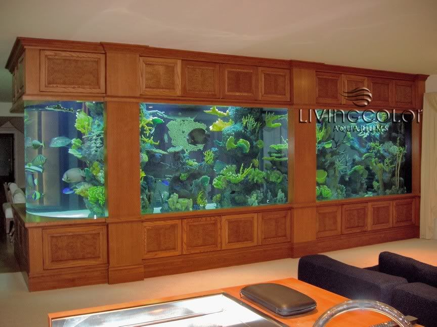 Large_Custom_Saltwater_Aquarium.jpg