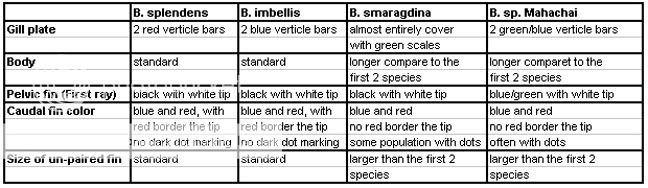 B_comparison_chart.jpg