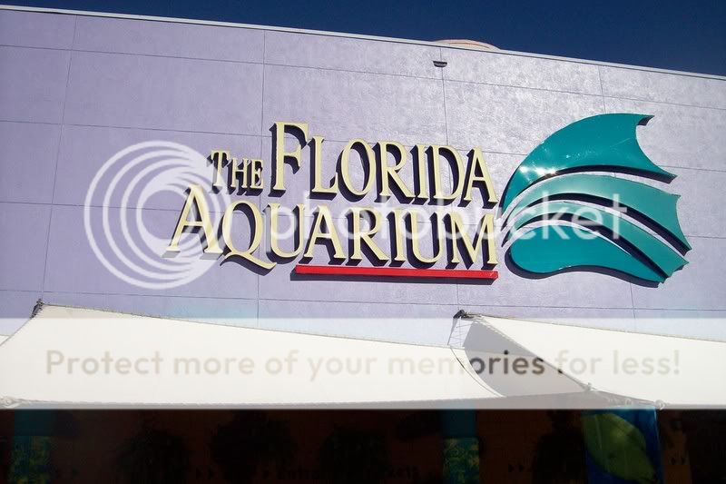 FloridaAquarium125.jpg