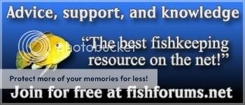 fishbanner2.jpg