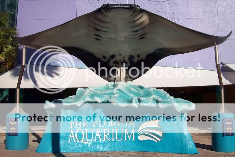 FloridaAquarium124.jpg