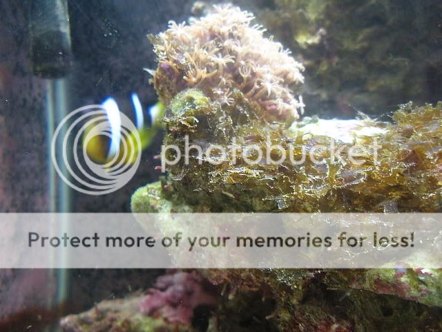 fishtanks012.jpg