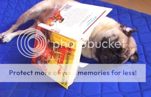 Pugbook03.jpg