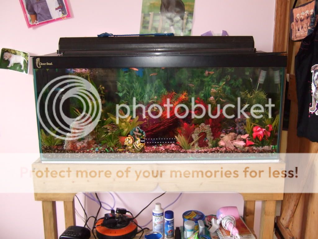 fishtankphotos089.jpg