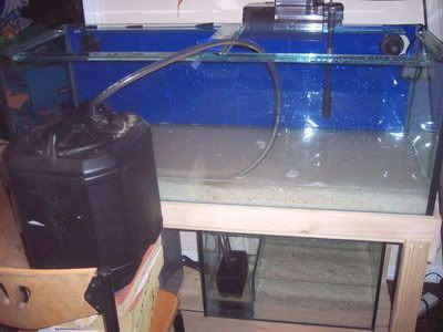 fillingtank1.jpg