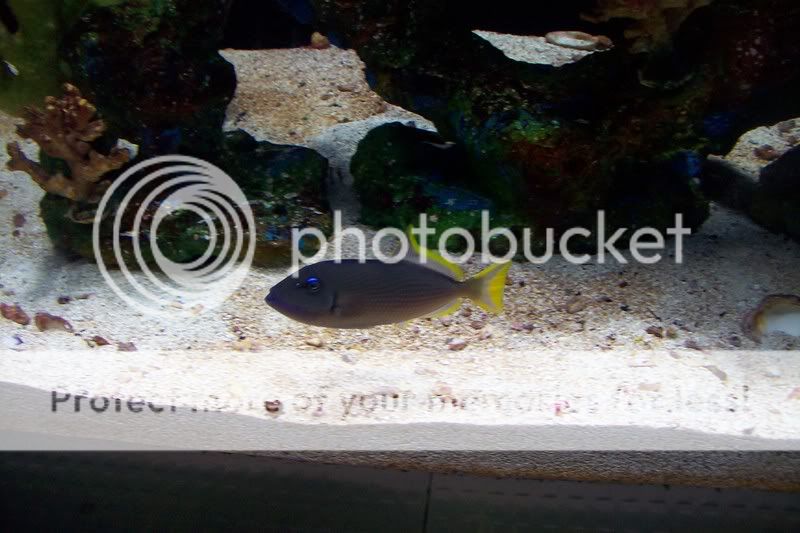 FloridaAquarium119.jpg