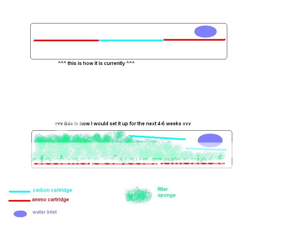 marinafilter.jpg