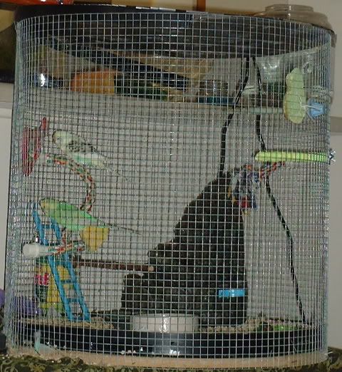 parakeetcage.jpg