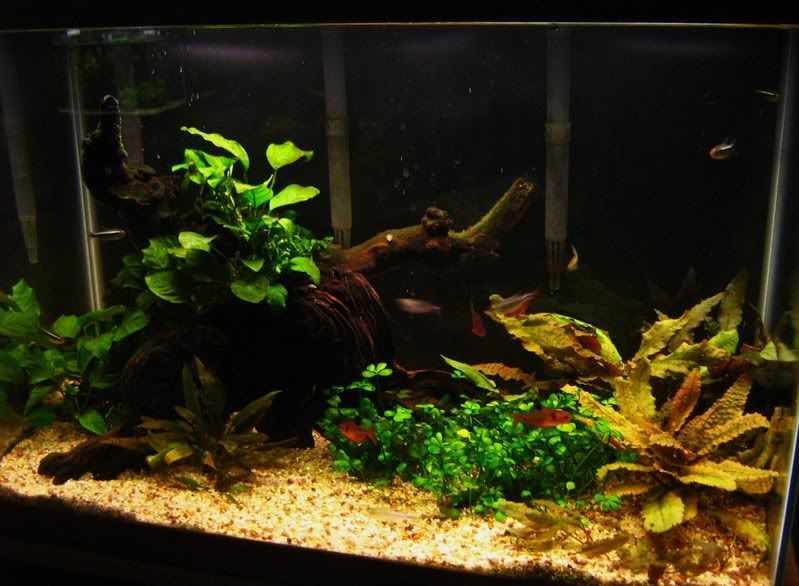 December07Tankupdates017.jpg