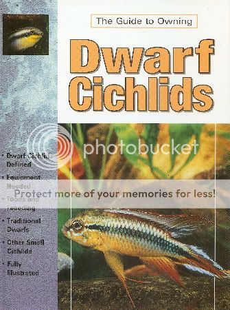 Guide_dwarf_cichlids.jpg