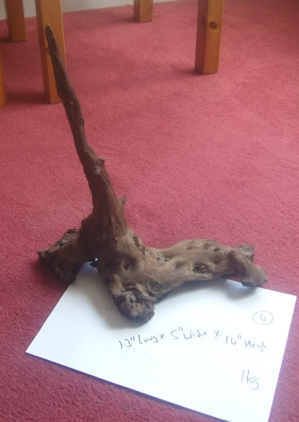 Bogwood4.jpg