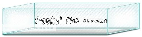 TropicalFishForums.png