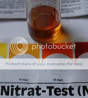 nitrate120110.jpg