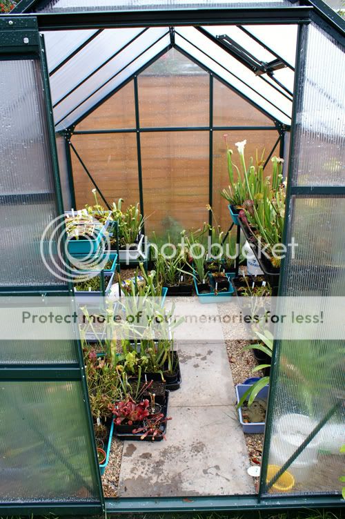 greenhouse.jpg