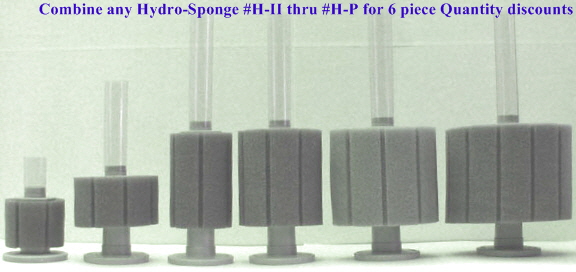 a_HydroSponges0-5A.jpg