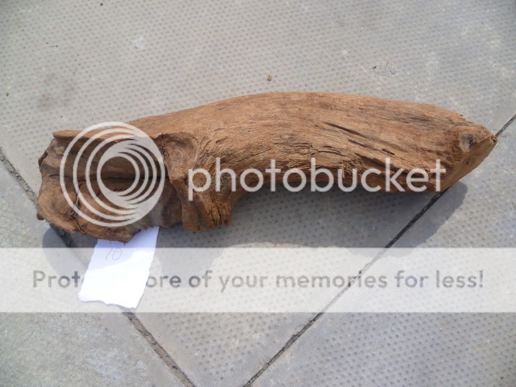 bogwood096.jpg