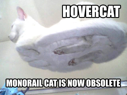 hovercatbo41.jpg