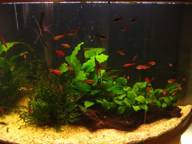 December07Tankupdates002.jpg