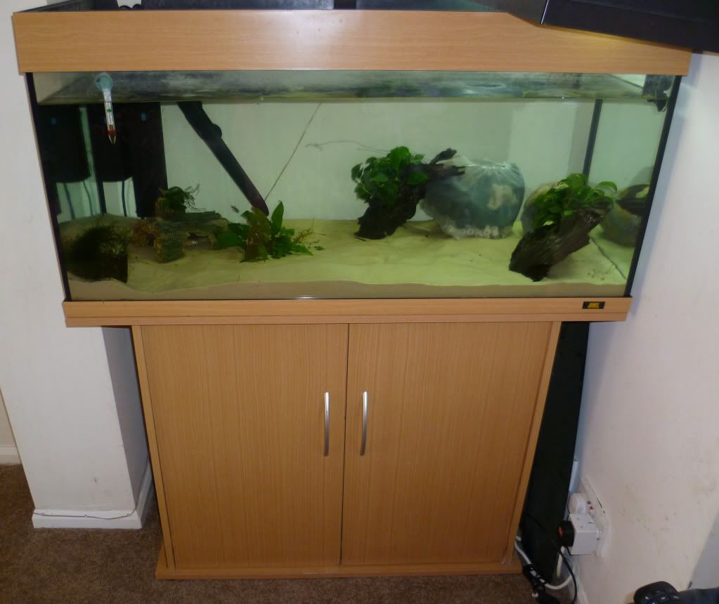 fishtank5.jpg