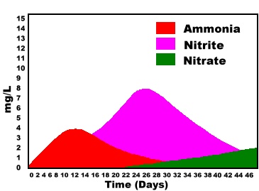 ammonialevels.JPG