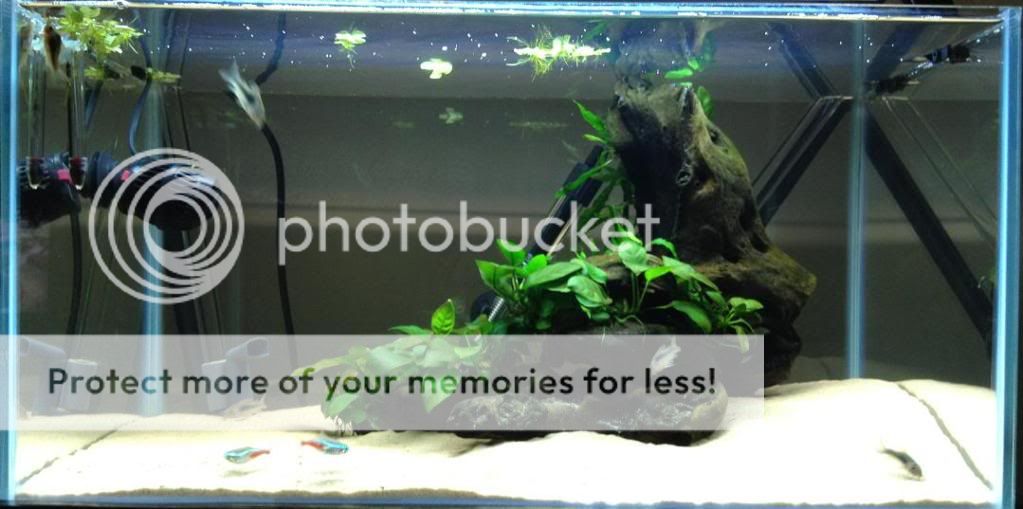 FTS1.jpg