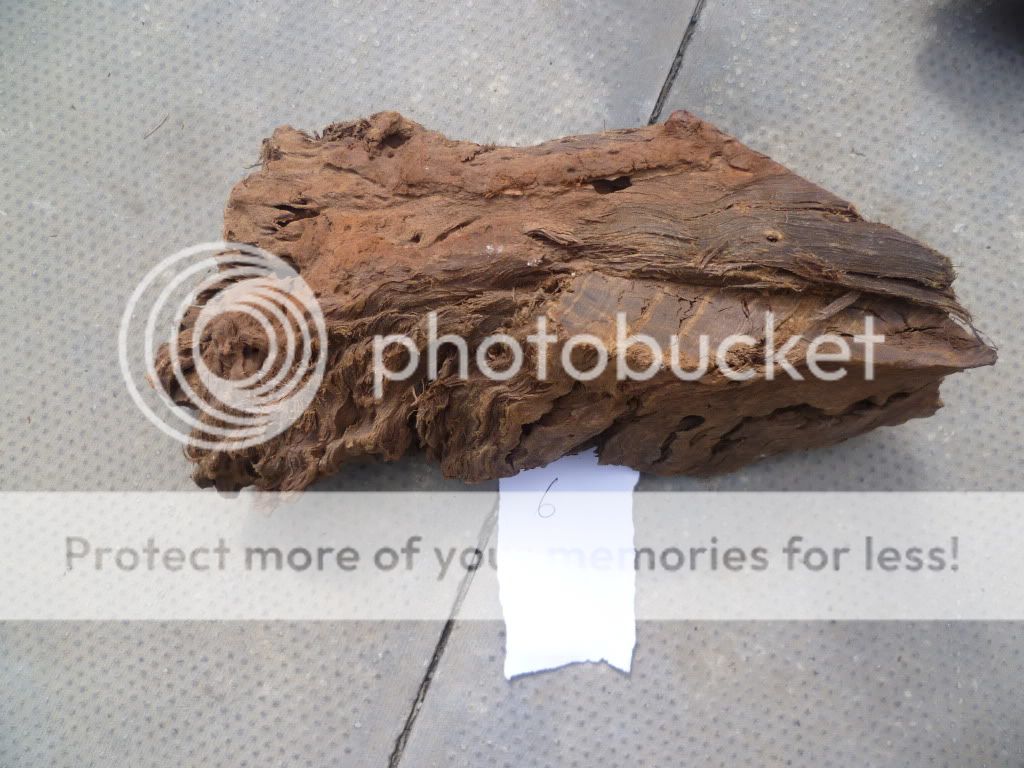 bogwood091.jpg