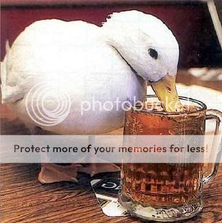 duck_beer.jpg